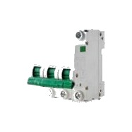 Otomatik Sigorta 4.5KA 3 Kutuplu 50A C Tipi
